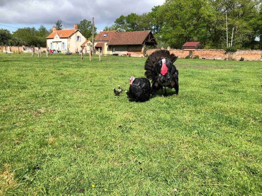 Maison Au Milieu Des Bois Et Des Animaux Jouy-le-Potier Bagian luar foto