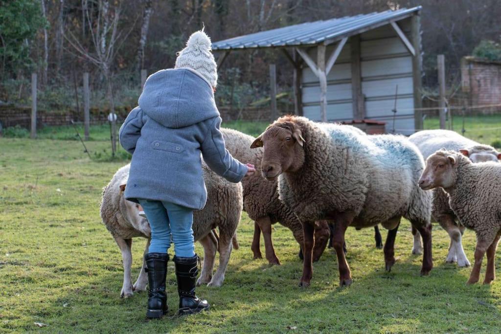 Maison Au Milieu Des Bois Et Des Animaux Jouy-le-Potier Bagian luar foto