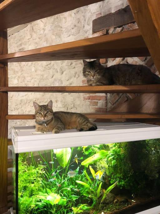 Maison Au Milieu Des Bois Et Des Animaux Jouy-le-Potier Bagian luar foto