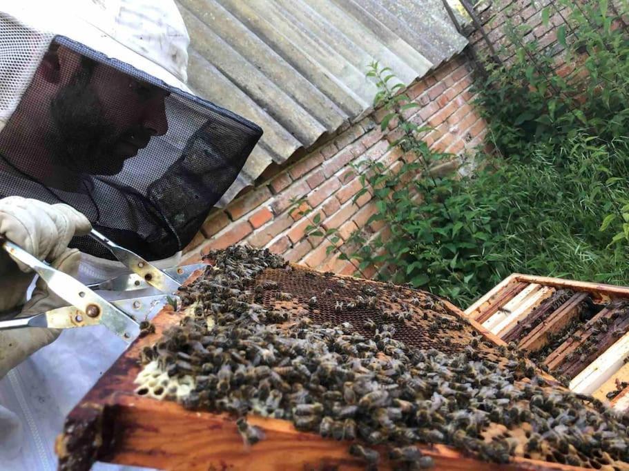 Maison Au Milieu Des Bois Et Des Animaux Jouy-le-Potier Bagian luar foto